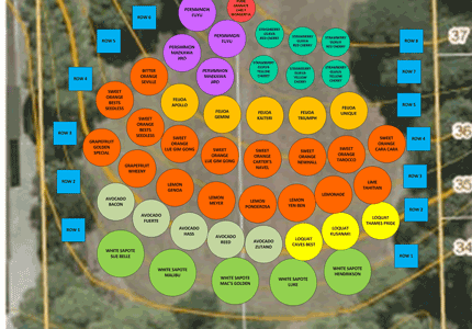 Plan the use of your property